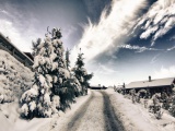 A Mountain Road In Winter