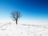 Alone Snow Nature