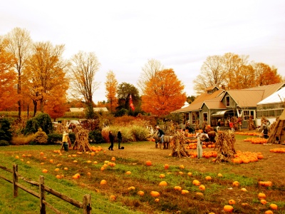 Autumn Pumpkin Festival