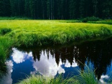 Blue Sky Reflection In The Water