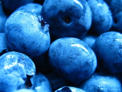 Blueberries