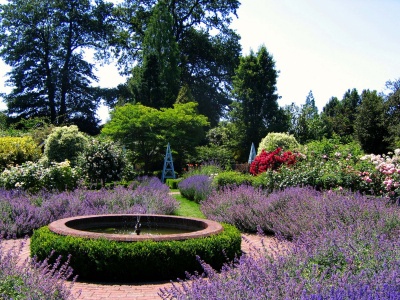 Borde Hill Gardens Sussex