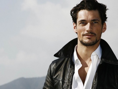 David Gandy