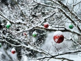 Decorated Tree Branches