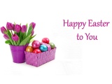 Easter Eggs And Tulips In Basket