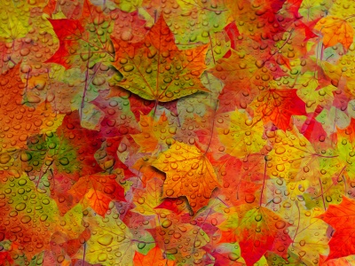 Fall Leaves Pattern