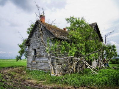 Field House Landscape