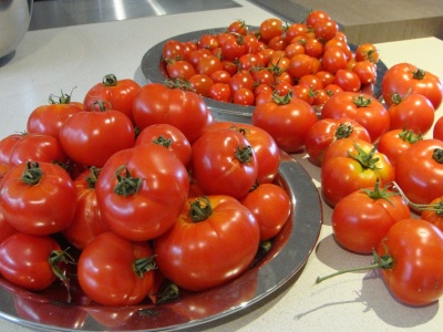 Food Tomatoes 1