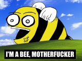 Funny Bees