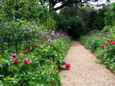 Hidcote Garden Cotswolds Gloucestershire