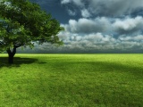 Landscapes Scenery Grassland Green Nature