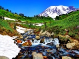 Mountain Stream And Melted Snow