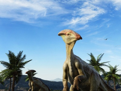 Parasaurolophus