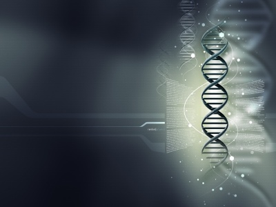 Random Plasmid - DNA