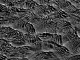 Rippled Water Texture