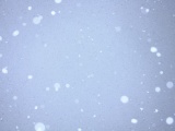 Snow Falling On Blue Sky