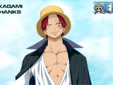 Straw Hat Pirates The One Piece Anime Pirate