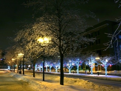 Trees Park Winter Ornament Decor Street Night City Landscape