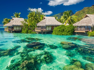 Tropical Seaside Cottages