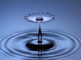 Water Drop Macro