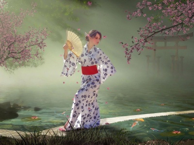 Women Funny Kimono Koi