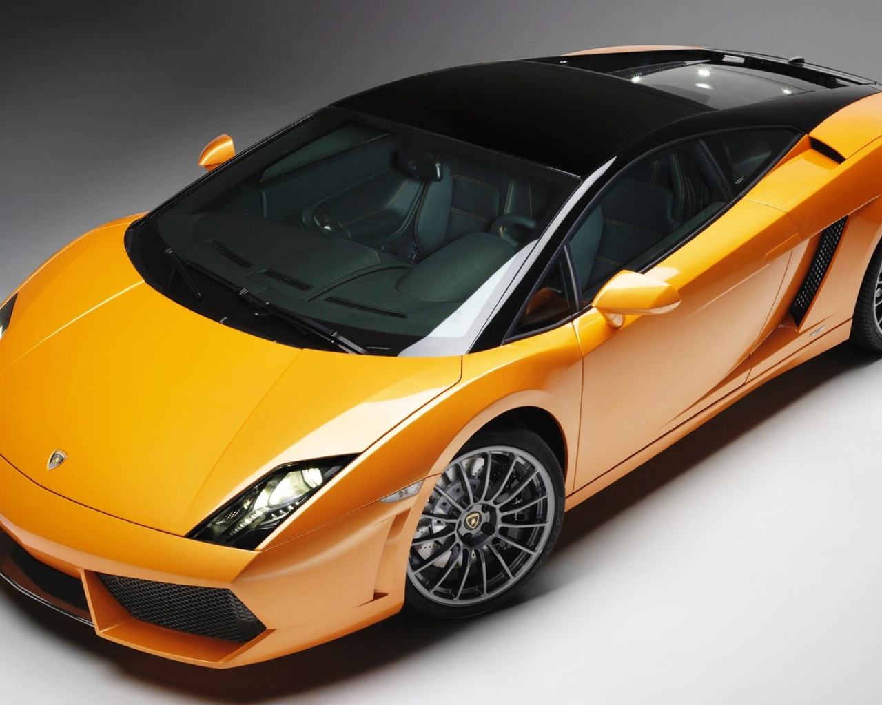 2011 Lamborghini Gallardo Bicolore