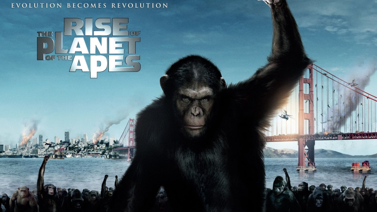 2011 Rise Of The Planet Of The Apes Poster Movie