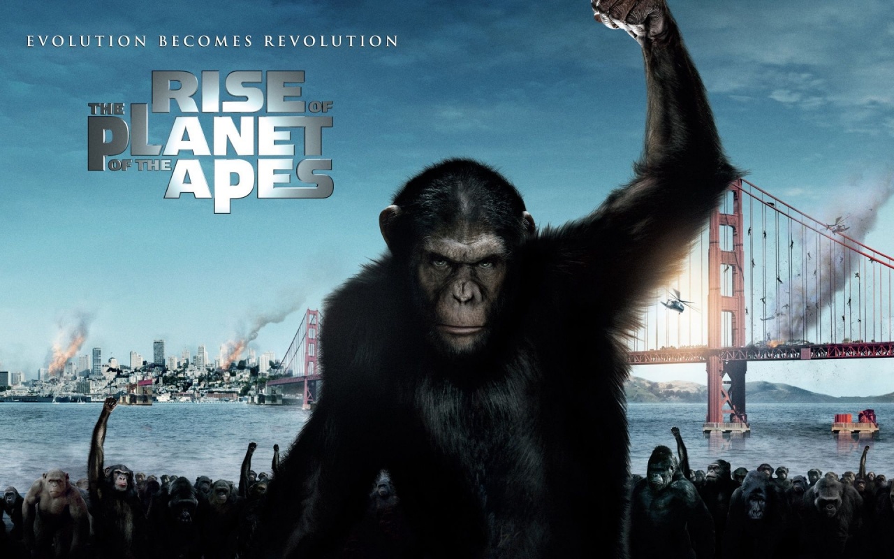 2011 Rise Of The Planet Of The Apes Poster Movie