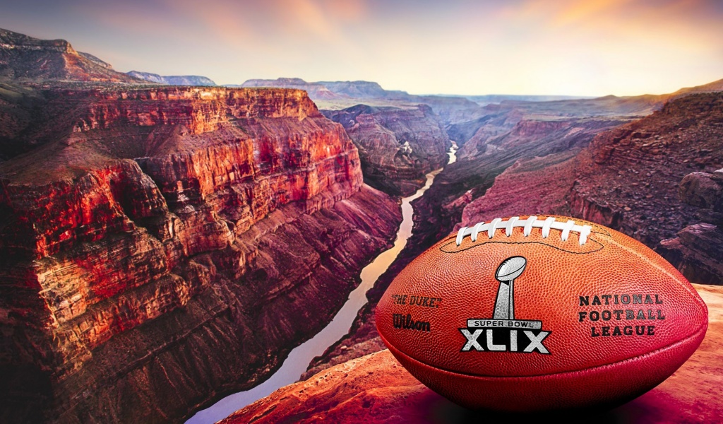 2015 Official Ball Super Bowl XLIX