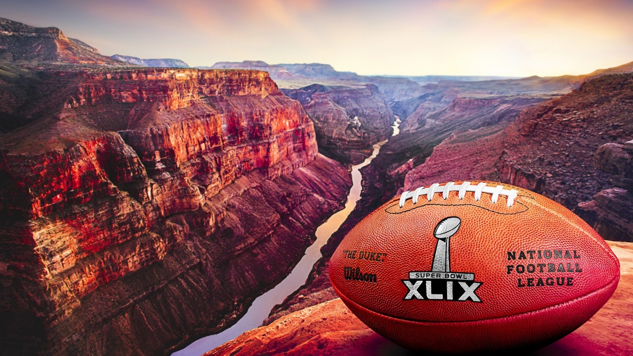 2015 Official Ball Super Bowl XLIX