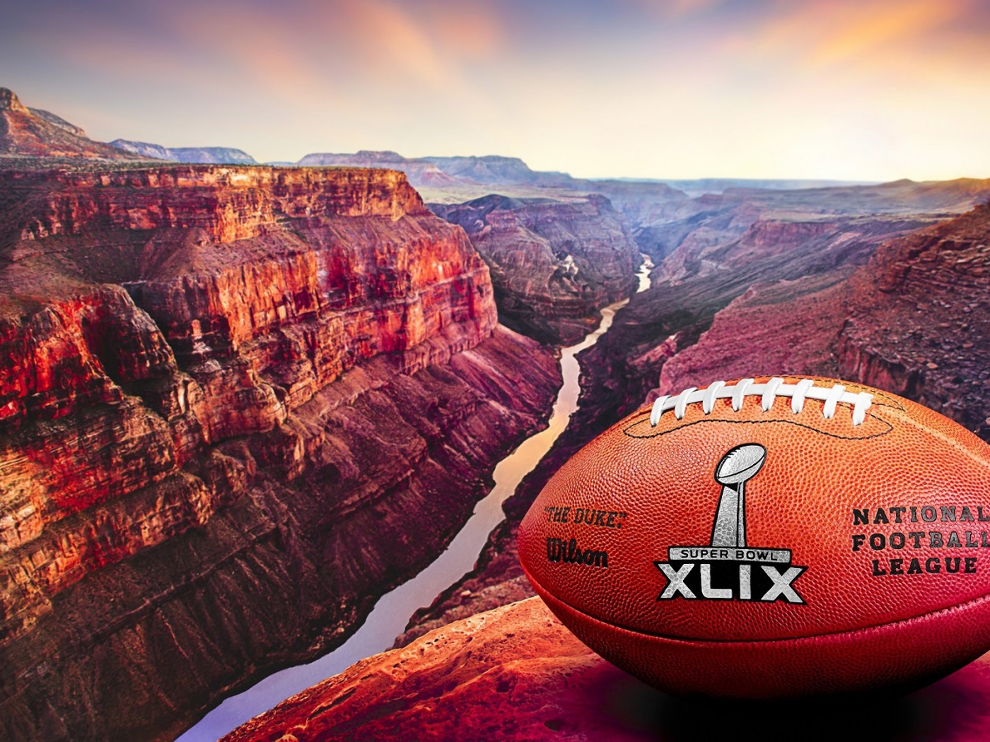 2015 Official Ball Super Bowl XLIX