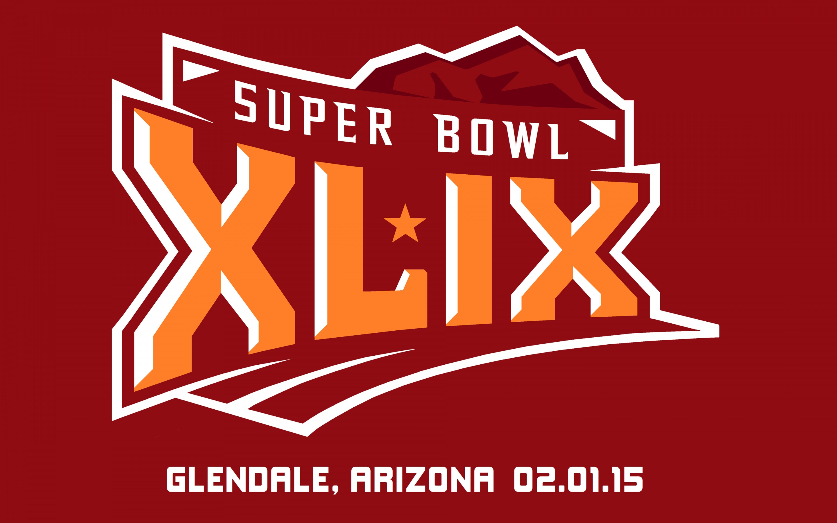 2015 Super Bowl XLIX Official Logo