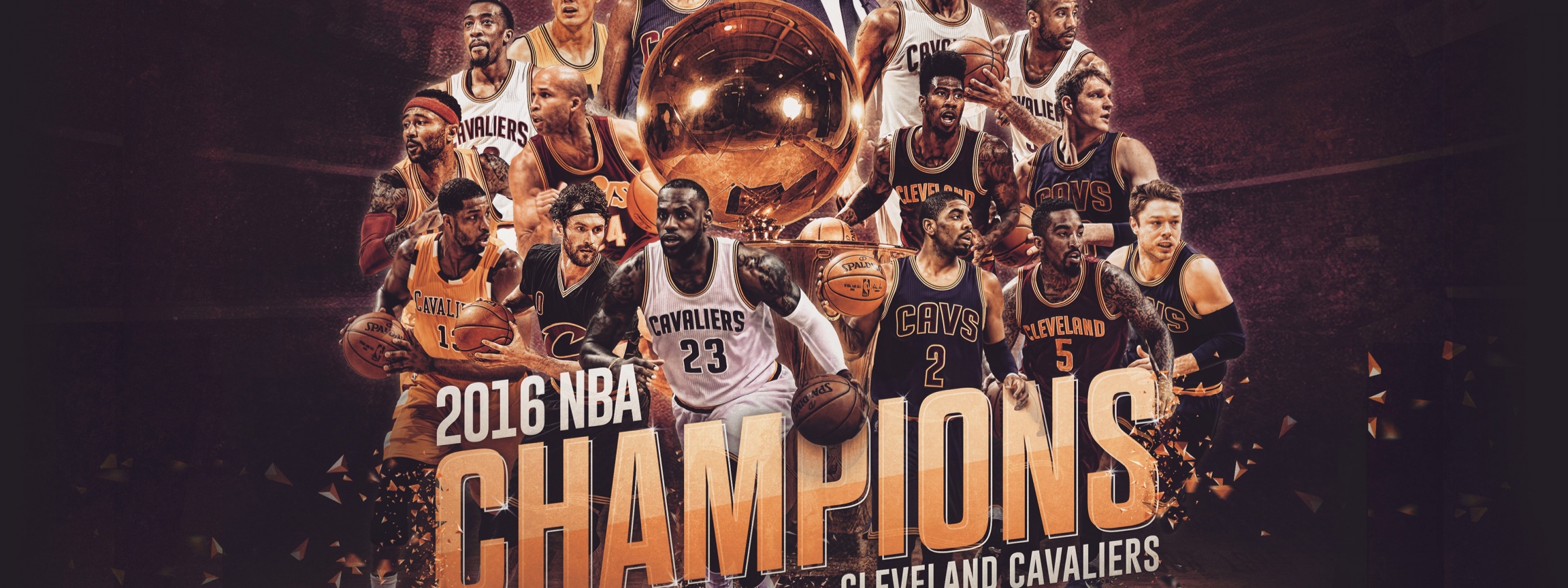 2016 Nba Champions