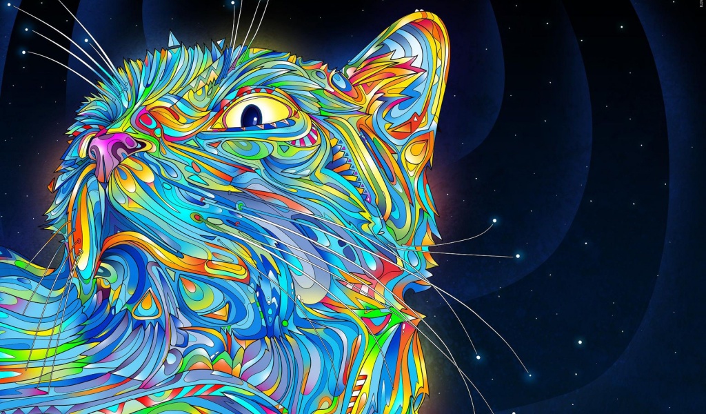 2d Colorful Colorful Cat