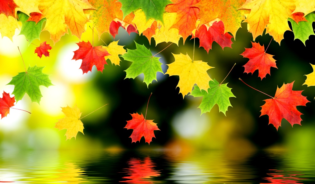 3d Autumn Leaves