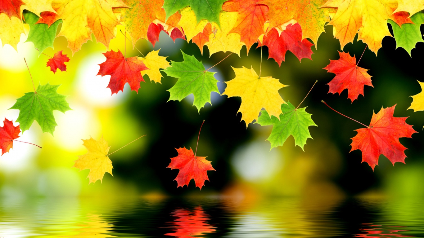 3d Autumn Leaves