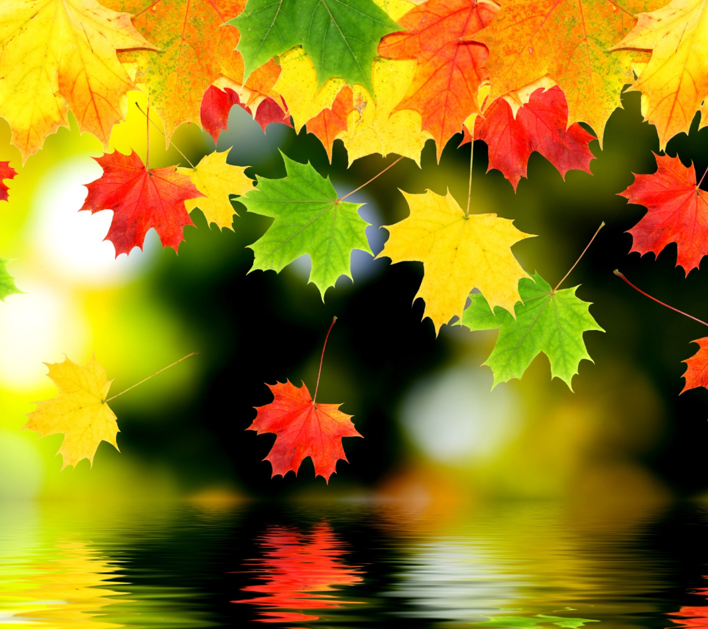 3d Autumn Leaves