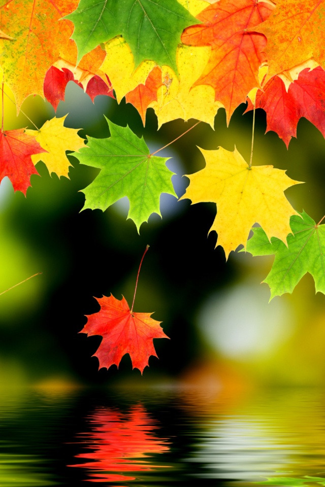 3d Autumn Leaves