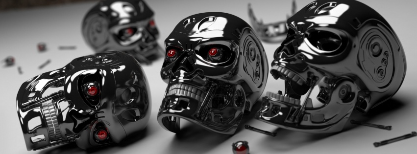 3D Robot Skulls