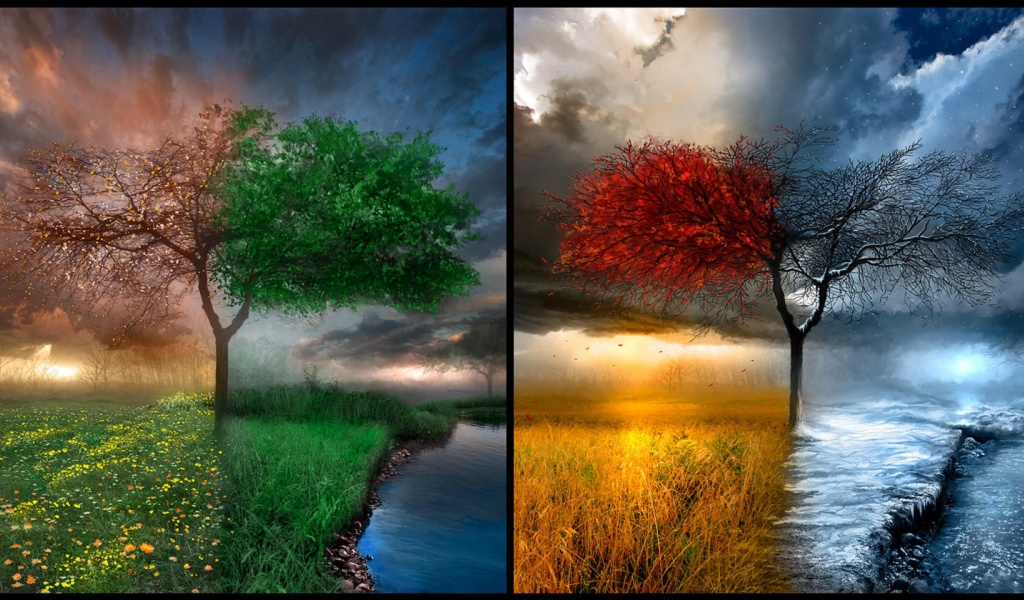 4 Seasons Art