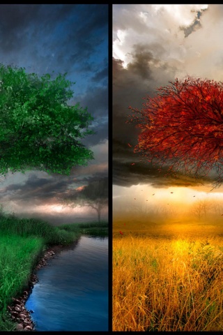 4 Seasons Art