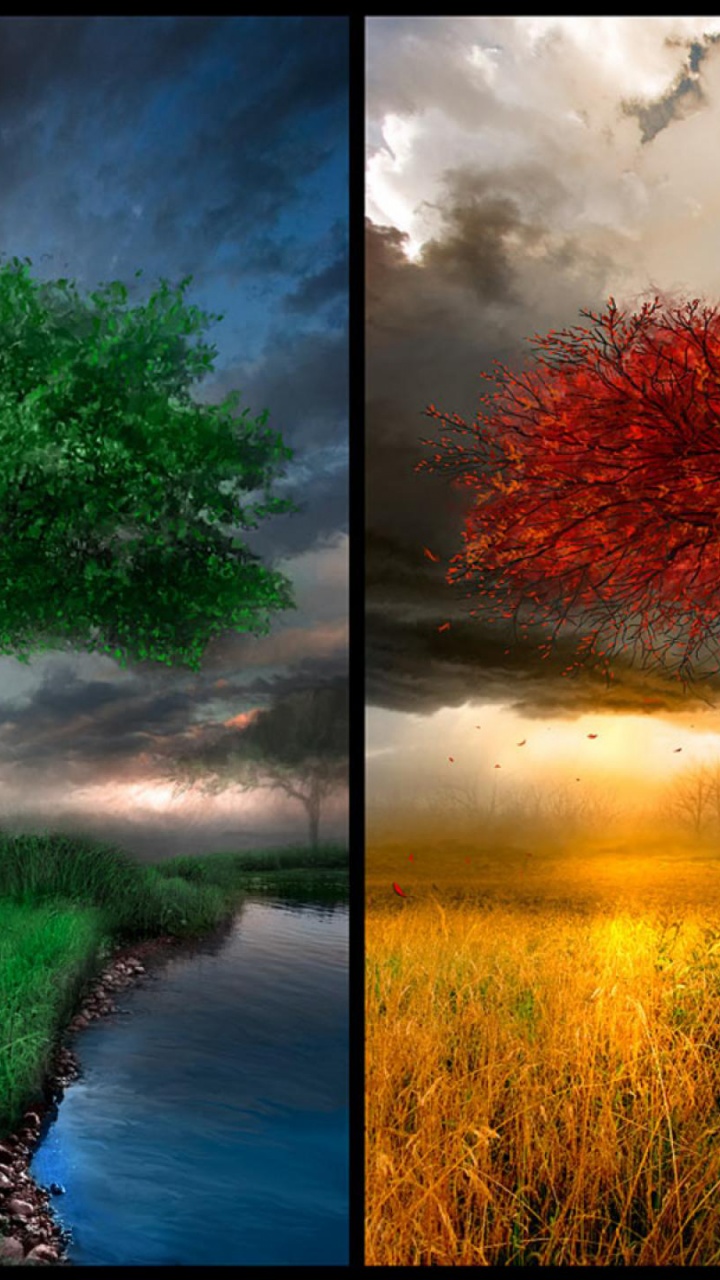 4 Seasons Art