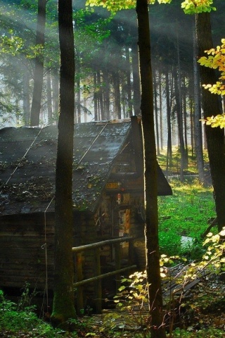 Abandoned Hut Nature Landscapes