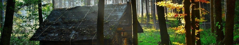 Abandoned Hut Nature Landscapes