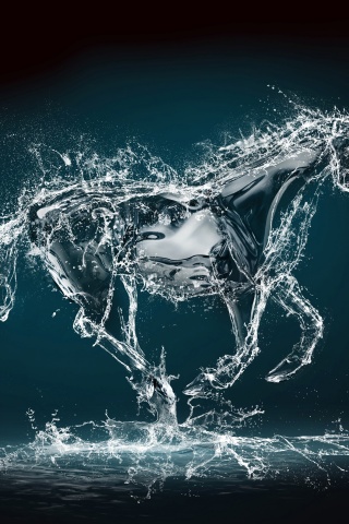 Abstract Water Horse