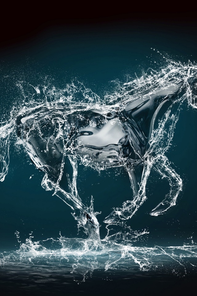 Abstract Water Horse