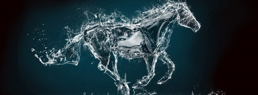 Abstract Water Horse