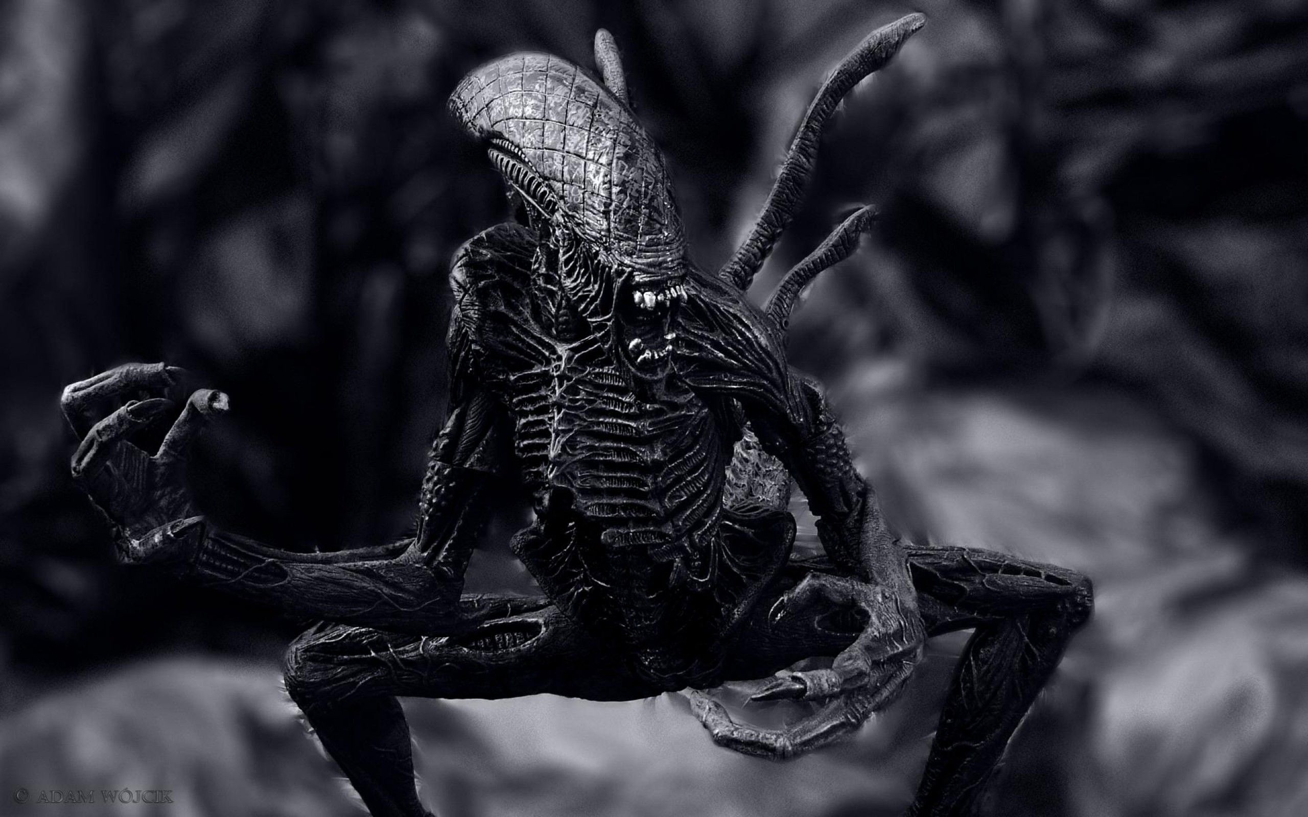 Aliens Xenomorph