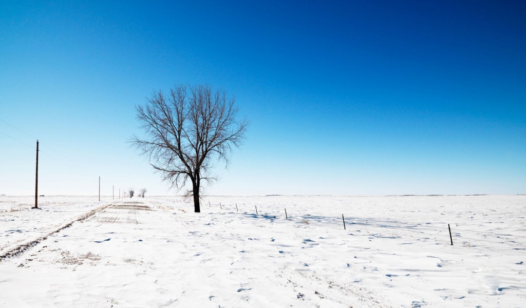 Alone Snow Nature