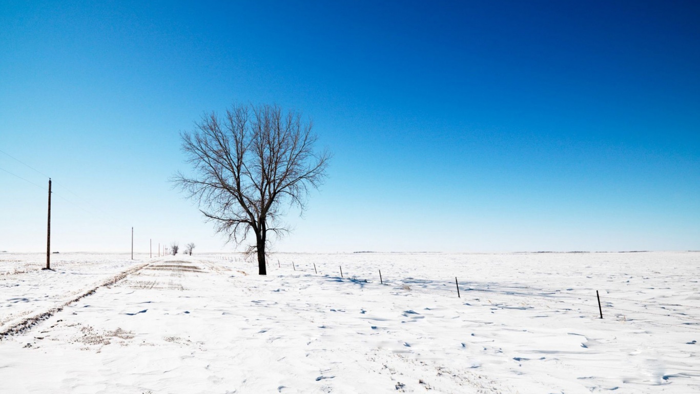 Alone Snow Nature